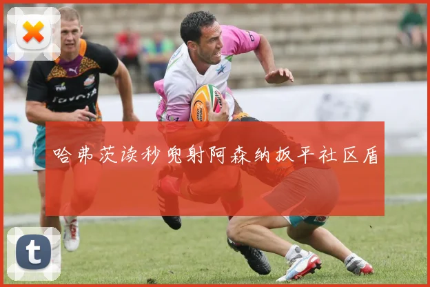 哈弗茨读秒兜射阿森纳扳平社区盾