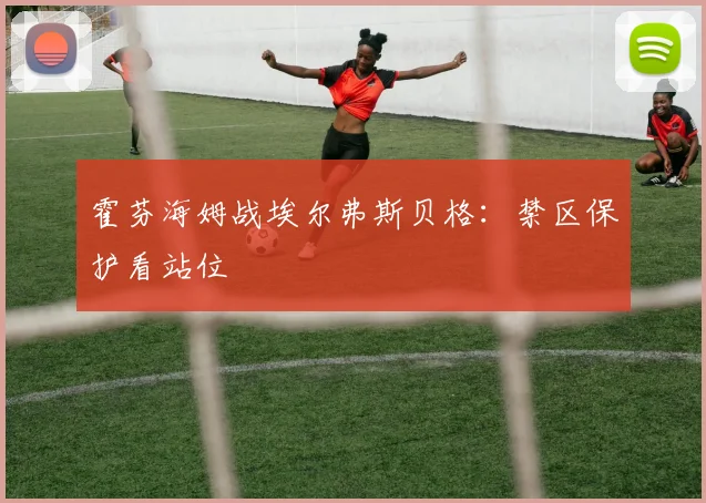 霍芬海姆战埃尔弗斯贝格：禁区保护看站位