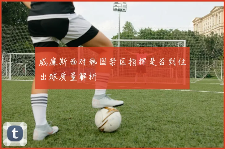 威廉斯面对韩国禁区指挥是否到位出球质量解析