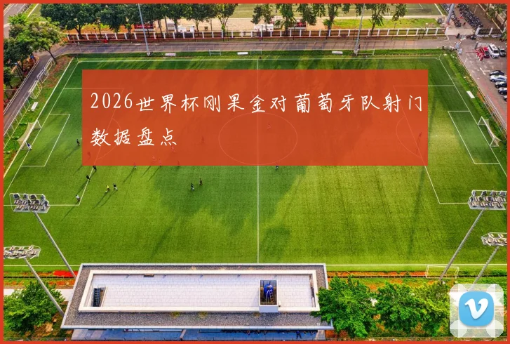 2026世界杯刚果金对葡萄牙队射门数据盘点