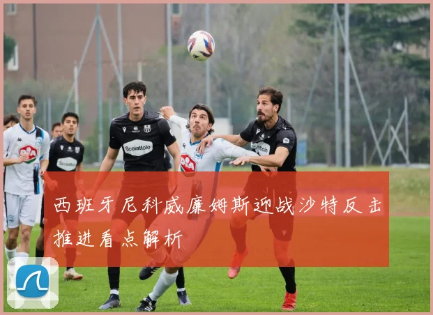 西班牙尼科威廉姆斯迎战沙特反击推进看点解析