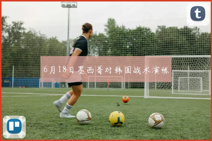 6月18日墨西哥对韩国战术演练